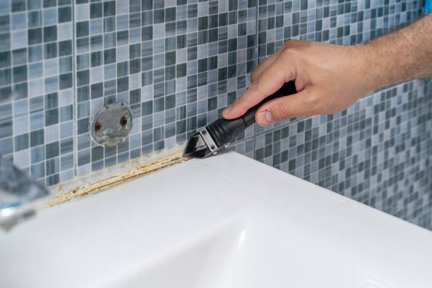 Best Professional Mold Removal  in Boyd, TX